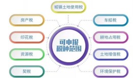 房产公司交税怎么交费的(房产公司缴纳的税种)