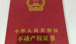 怎么查名下商铺房产证(怎么查名下商铺房产证号)