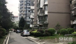 丽水小丽房产怎么样(丽水小处)