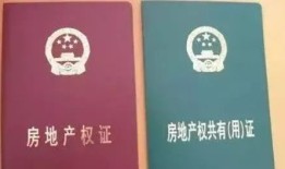 大小房产证怎么分(房产证怎么分大产权与小产权)