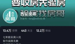 双人房产直播怎么做(双人买房)