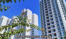 租房要怎么查房产信息(租房要怎么查房产信息呢)