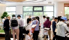 房产展示顾问工作内容怎么写(展厅置业顾问)