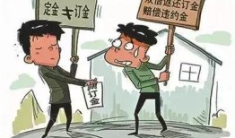 欺负房产中介怎么办(被房产中介坑了怎么报复)