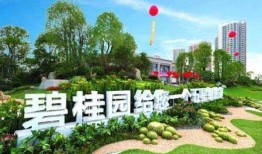 碧桂园房产部门怎么样(碧桂园房产公司怎么样)