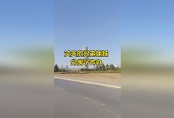 兄弟姐妹怎么分配房产(兄弟姐妹如何分房产)