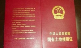 怎么查房产土地使用证(怎么查房产土地使用证编号)