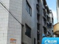 中山兴中房产怎么样(中山兴中集团有限公司官网)