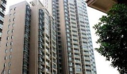 咸宁路红星房产怎么样(红星路楼盘)