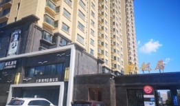 常州龙居房产怎么样(龙居房产有限公司)