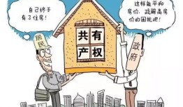 罚没房产不倒房怎么办(罚没房产如何处置)