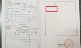杭州怎么查房东房产证(怎么查询房东的房本是真的)