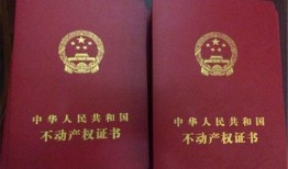 交税房产证怎么个流程(交房产税要带什么证件)