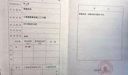 中介拍房产证怎么拍(中介拍房产证怎么拍好看)