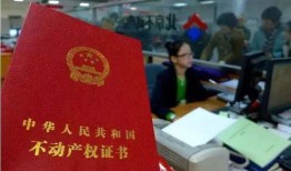 法院不处置房产怎么办理(法院处置不动产的规定)