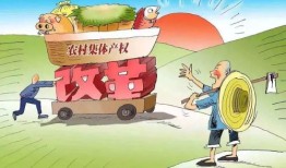 集体私房产权怎么处理的(集体产权的房子受法律保护吗)