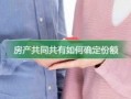 共同共有房产份额怎么算(共同共有房产份额如何确定)