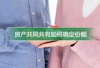 共同共有房产份额怎么算(共同共有房产份额如何确定)