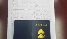 齐河怎么办理房产证(齐河办理房产证怎么收费)