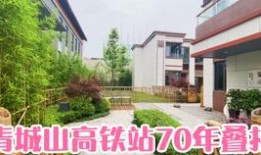 房产大咖是怎么介绍房子(房产销售如何介绍房子)