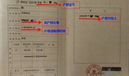 房产证公示怎么査询(房产证公示期在哪可以看到)