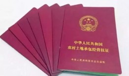 街道扣留房产证怎么处理(街道办有权查看房产证吗)