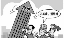 房产老板申请破产怎么办(房产老板破产买的房子怎么办)