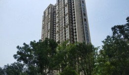 郑州长城房产怎么样(郑州长城房屋集团口碑)