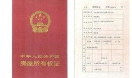 房产共有权证内容怎么填(房子共有权证)