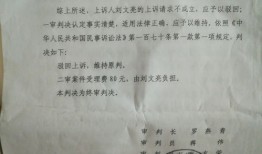 房产官司赢了赔偿怎么办(房产官司打赢了律师费谁出)