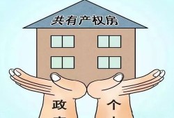 子孙共有房产怎么办理(祖孙共有产权房)