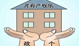 子孙共有房产怎么办理(祖孙共有产权房)