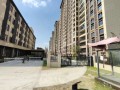 宁波富力房产怎么样(宁波富力房地产开发有限公司)