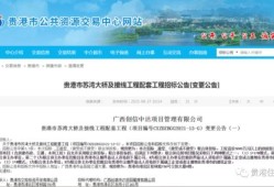 房产怎么去除一个法人(房产怎么去除一个法人信息)
