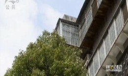 安陆父母无房产怎么继承(安陆父母无房产怎么继承房子)