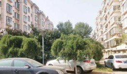 淄博恒矩房产怎么样(淄博恒越房地产)