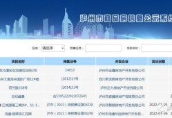 泸州房产掉价情况怎么样(泸州房产掉价情况怎么样知乎)