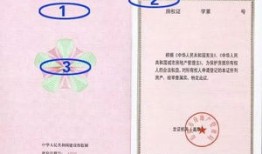 房产证怎么判断是真的(房产证如何判断真假)