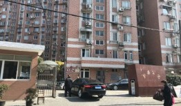新安丽萍房产怎么样(新安丽萍房产怎么样啊)