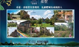 卓亚的房产怎么样(卓亚房地产集团董事长)