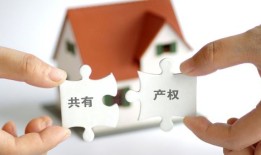 房产过户不到场怎么办(房产过户不到场怎么办手续)