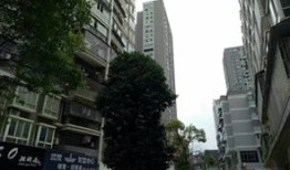 小盛房产评测怎么样(小盛小盛)