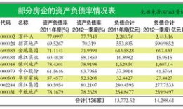 有房产负债率怎么算(房产负债率什么意思)