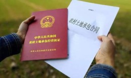 房产确权漏掉名字怎么办(房屋确权被遗漏怎么补办)