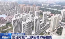 金州房产直播间怎么进的(金州房地产)