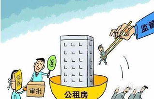 公租房产权纠纷怎么解决(公租房使用权纠纷)