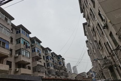 上海昕道房产怎么样(上海昕东)