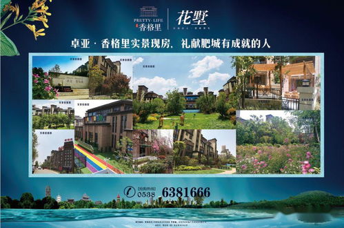 卓亚的房产怎么样(卓亚房地产集团董事长)