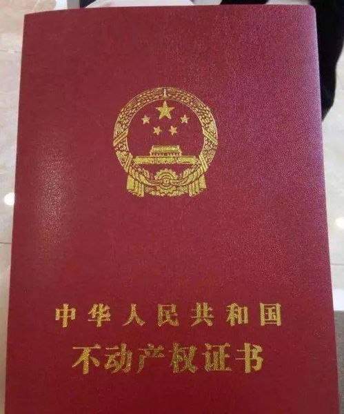 拿到房产证怎么查询真伪(有房产证怎么查询真伪)