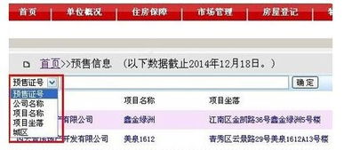 上海房产预售证怎么查(上海新房预售证网上查询)